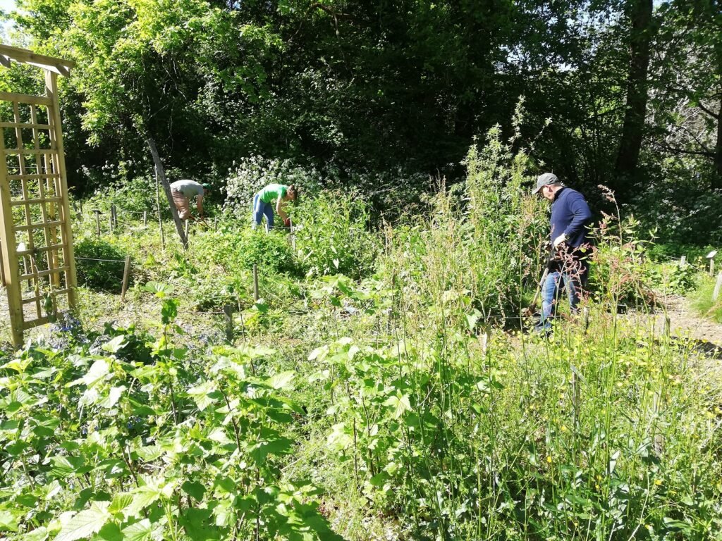 La forêt comestible de Pontaulic